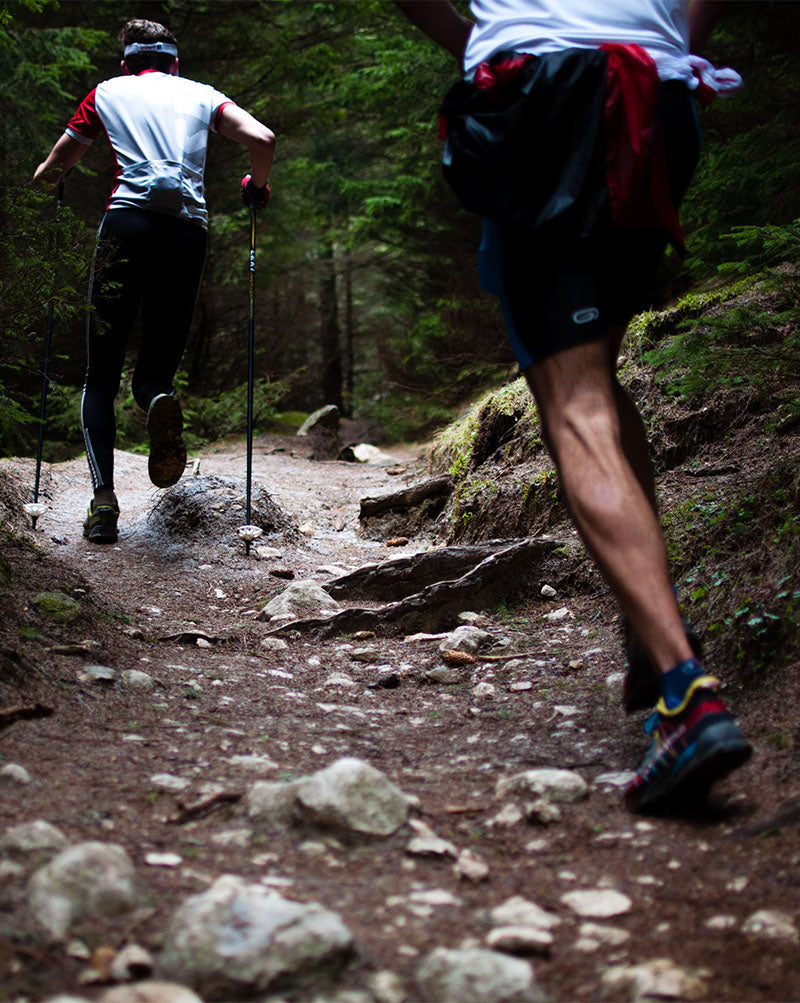 Winter Trekking in the Mountains
